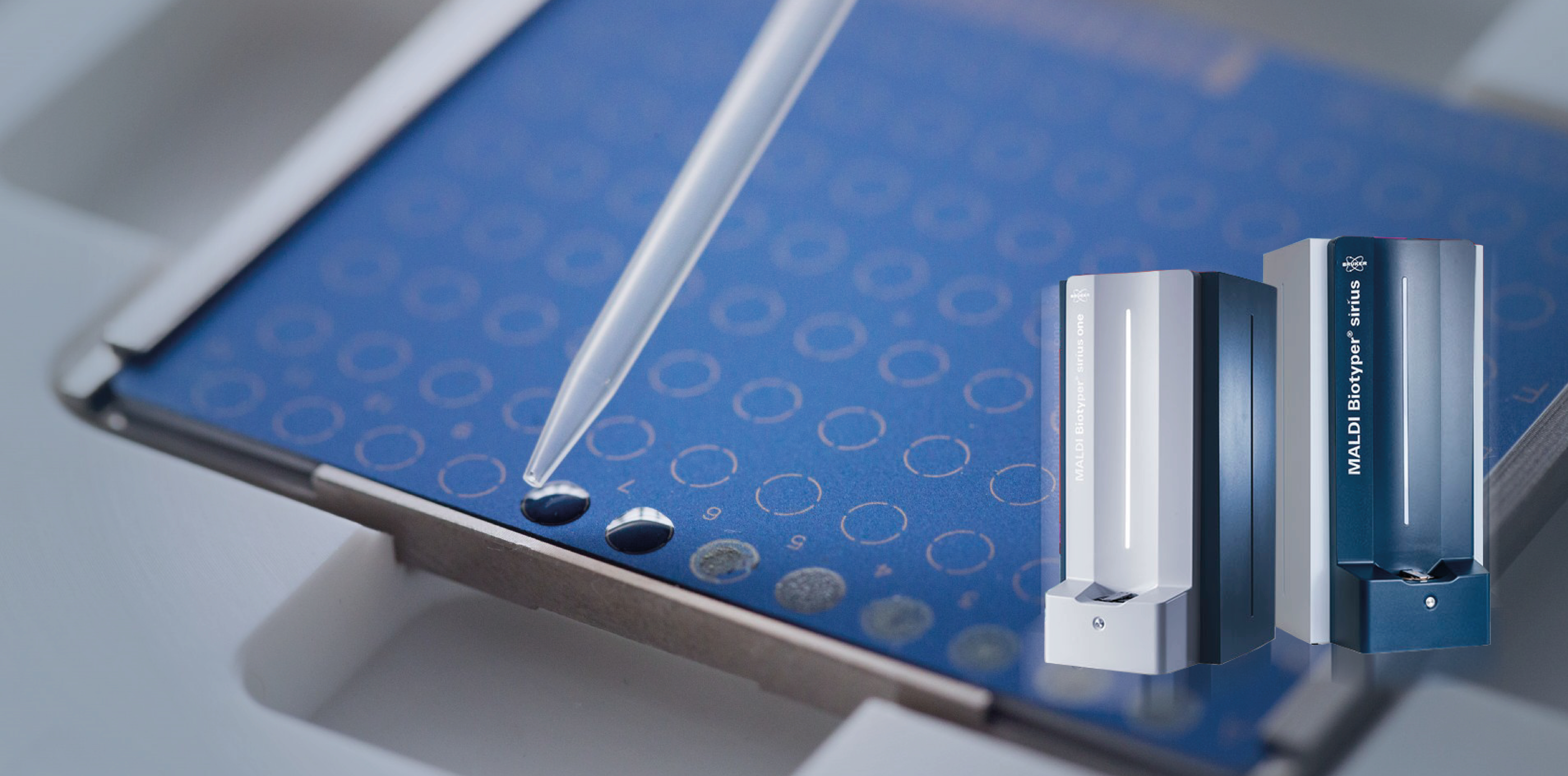 Placas de muestras liquidas